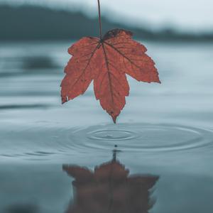 美女扒开腿㊙️让黄鳝钻入
