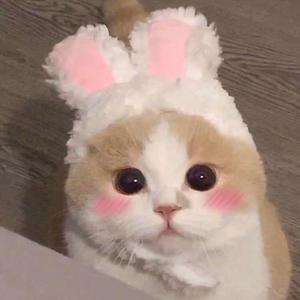 美女扒开腿㊙️让黄鳝钻入
